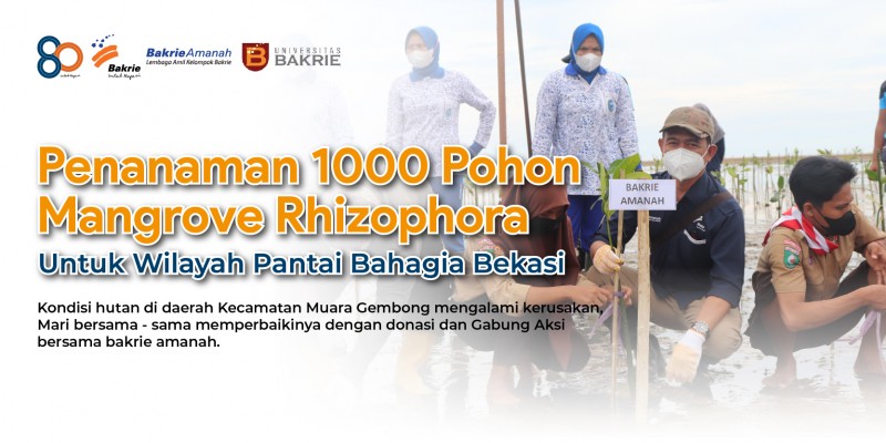 1000 Pohon Mangrove Utk Pantai Bahagia Bekasi